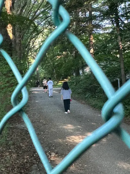 평화캠프