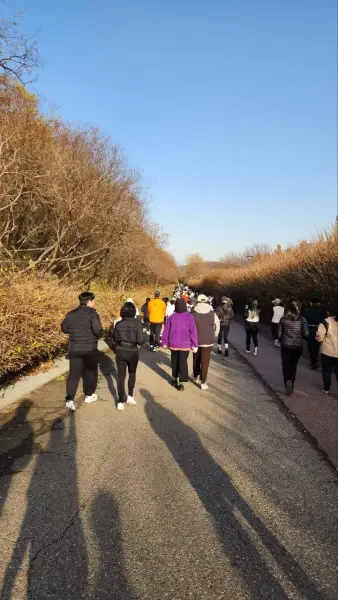 연대활동